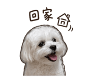 858159898