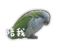 858162225