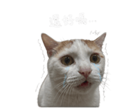 858165714