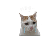 858165715