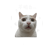 858165717