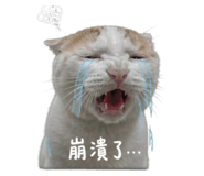 858165718