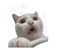 858165721