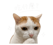 858165730