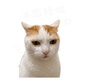 858165734