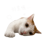 858165735