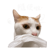 858165736