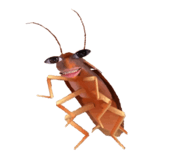 858172584
