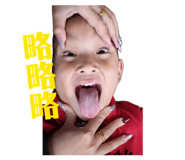 858173313