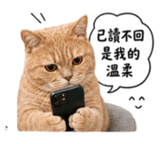 858173531