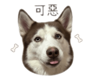 858173547