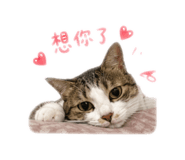 858177310