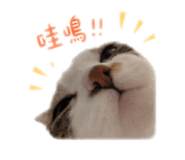 858177313