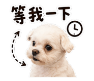 858178439