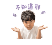 858178675