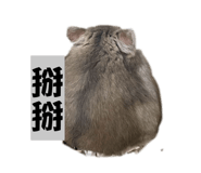 858181550