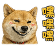 858182509