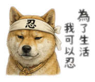 858182525