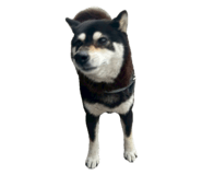 858182834