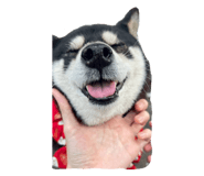 858182847
