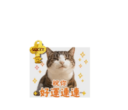 858194749