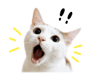 858198361