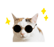 858198366