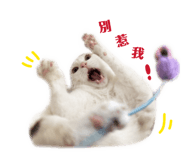 858198371