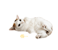 858198373