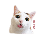 858198377