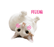 858198381