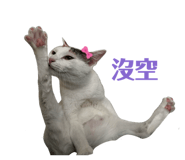 858198384