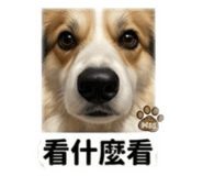 858198485