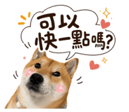 858200219