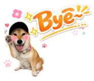 858200223