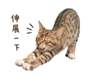 858201466