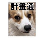 858202241