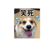 858202242