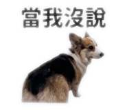 858202245