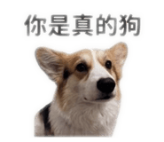 858202250
