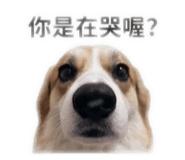 858202251