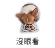 858202253