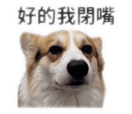 858202254