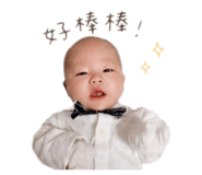 858202603