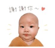 858202605