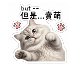 858202643