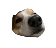 858203082