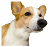 858203085