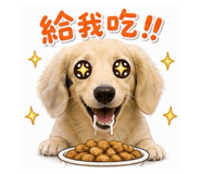 858205548