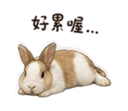 858205790